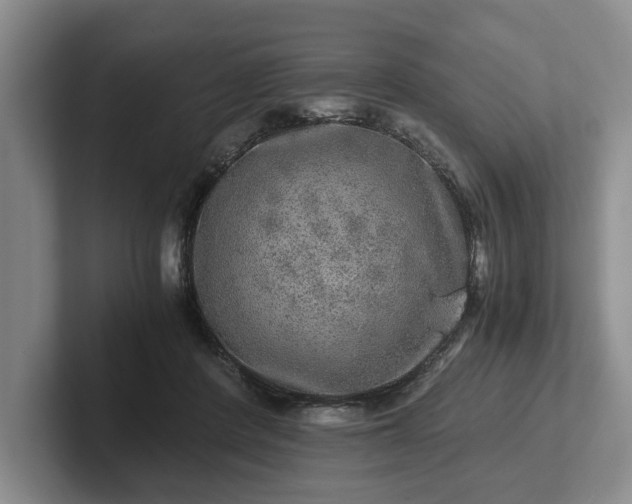 X0000102520408200808151537