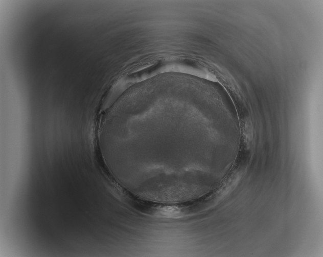 X0000102520409200808151537