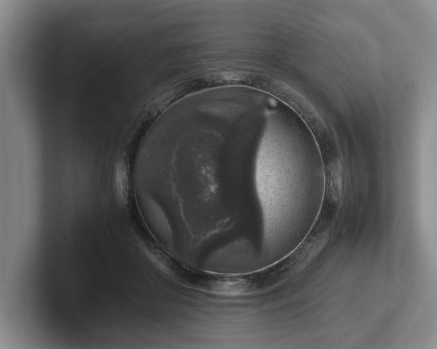 X0000102520410200808151537