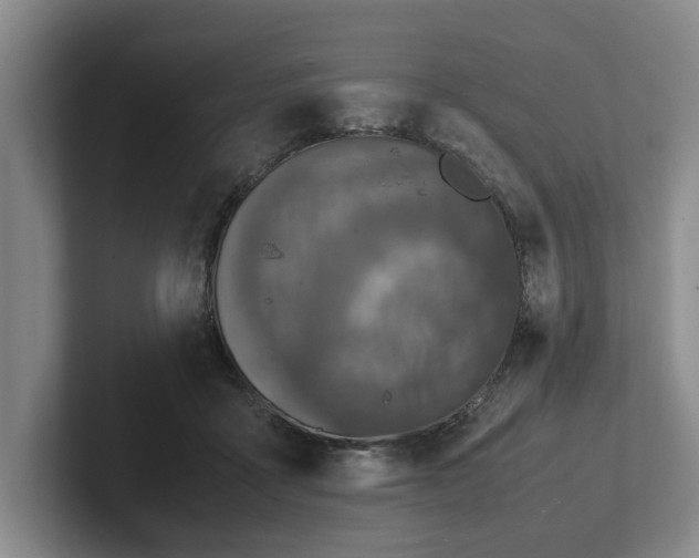 X0000102520411200808151537