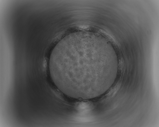 X0000102520412200808151537