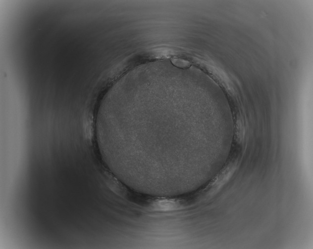 X0000102520413200808151537