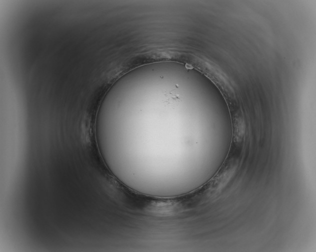 X0000102520414200808151537