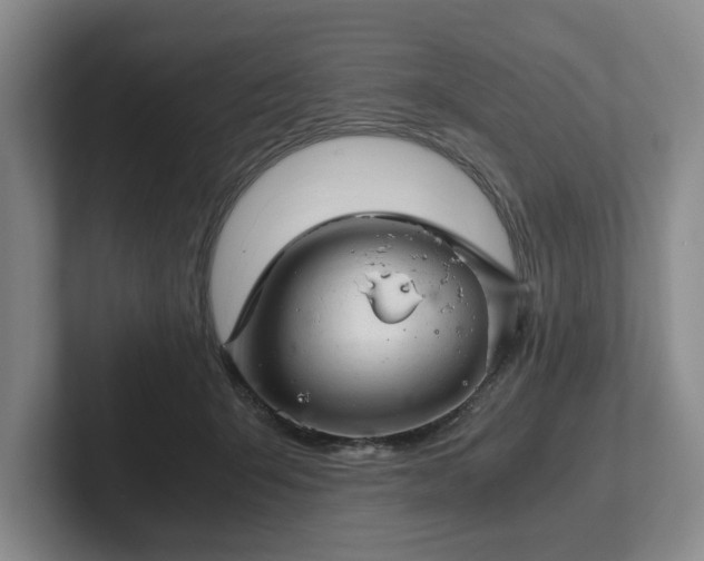 X0000102520415200808151537