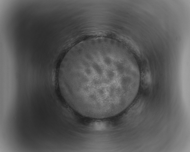 X0000102520416200808151537