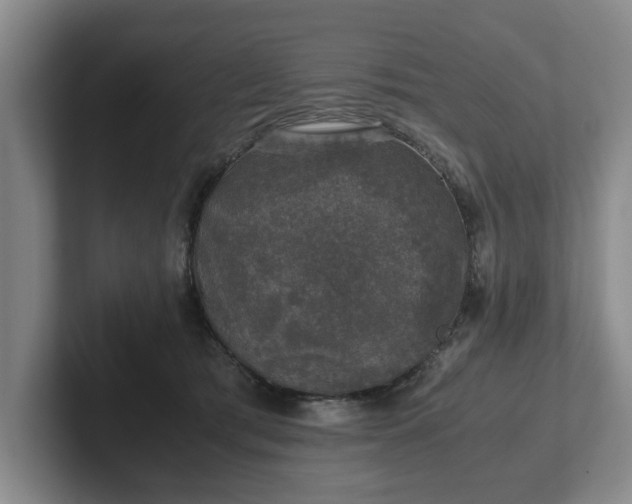 X0000102520417200808151537