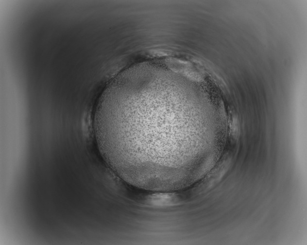 X0000102520418200808151537