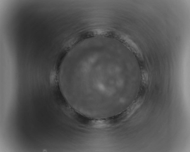 X0000102520419200808151537