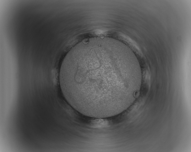 X0000102520421200808151537