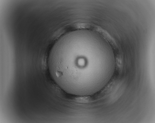 X0000102520422200808151537