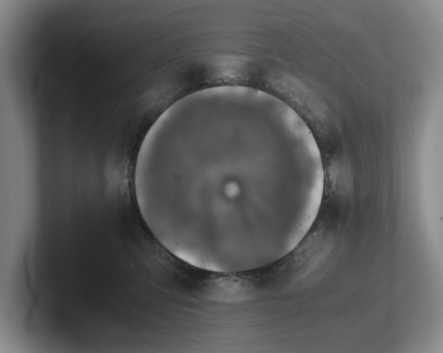 X0000102520423200808151537