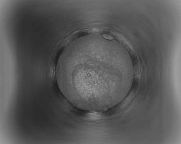 X0000102520425200808151537