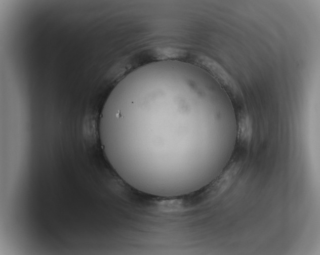 X0000102520426200808151537