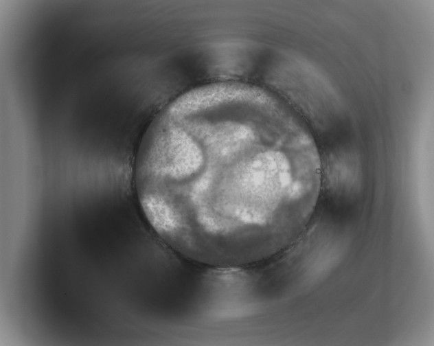 X0000102520427200808151537