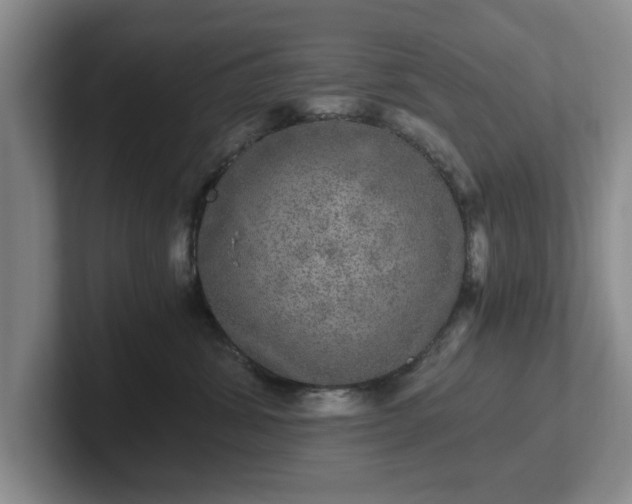 X0000102520428200808151537