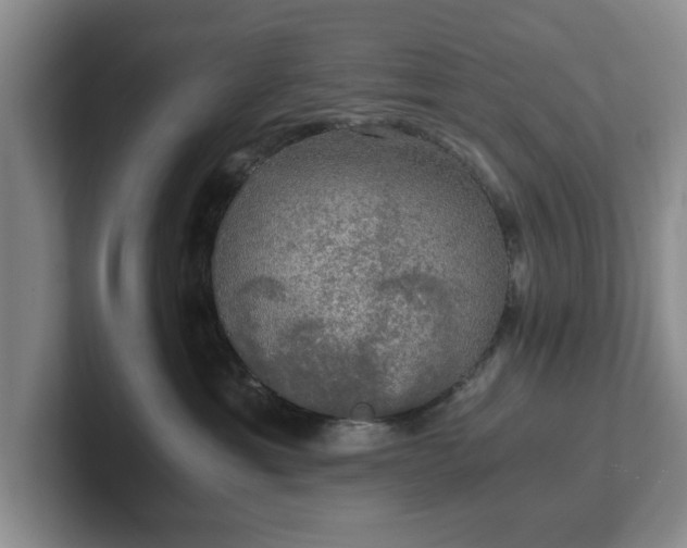 X0000102520429200808151537