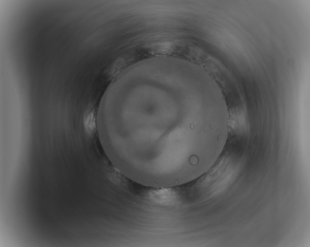 X0000102520431200808151537