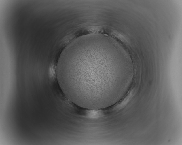 X0000102520432200808151537