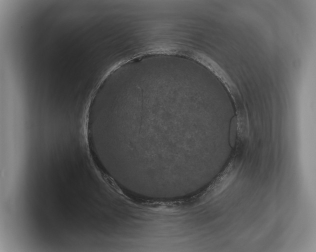 X0000102520434200808151536