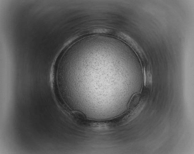 X0000102520435200808151536