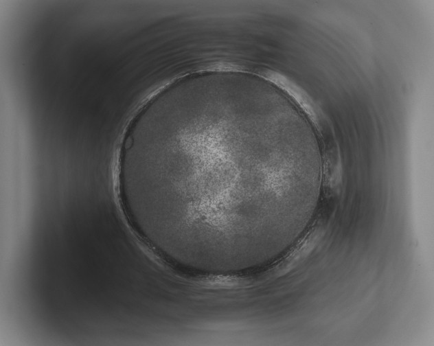 X0000102520437200808151536