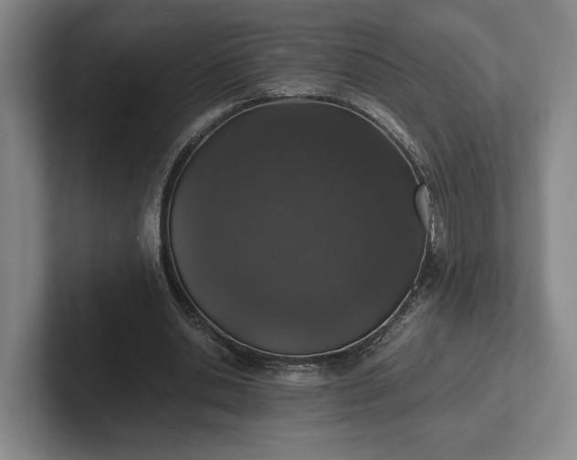 X0000102520438200808151536