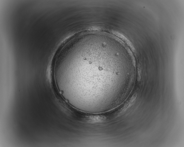 X0000102520439200808151536