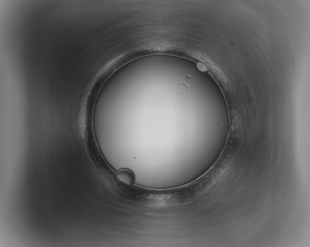 X0000102520440200808151536