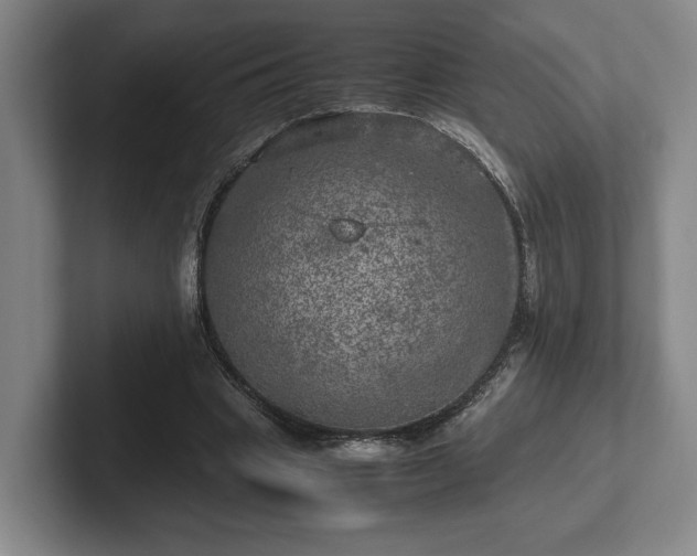 X0000102520441200808151536