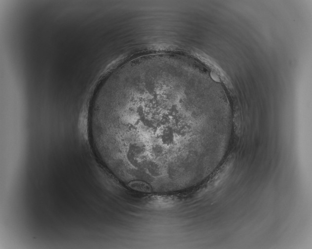 X0000102520442200808151536