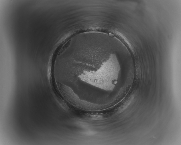 X0000102520443200808151536