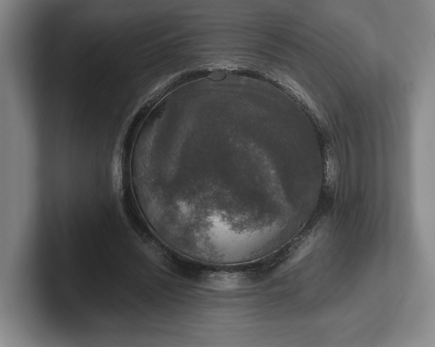 X0000102520444200808151536