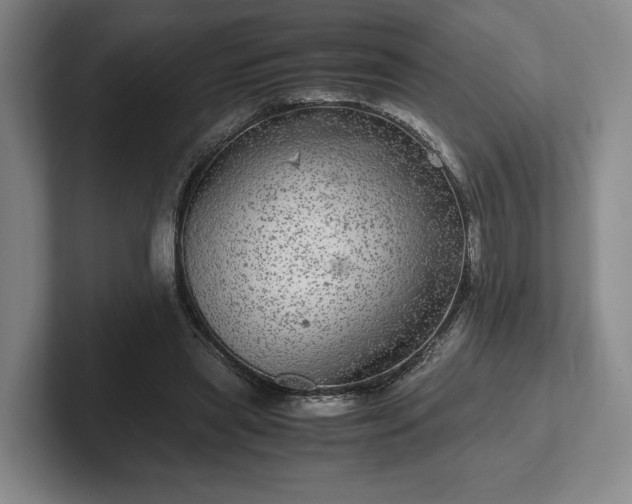 X0000102520445200808151536