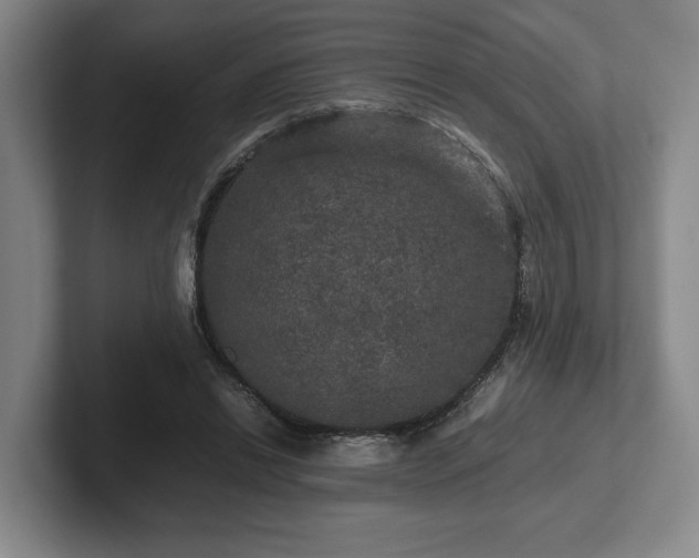 X0000102520446200808151537