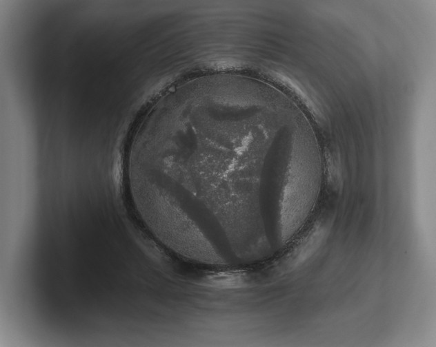 X0000102520447200808151537