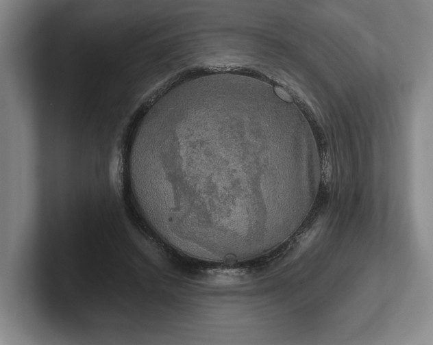 X0000102520448200808151537