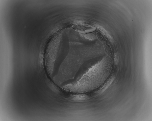 X0000102520449200808151537