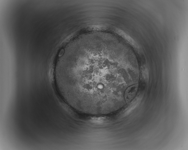 X0000102520450200808151537