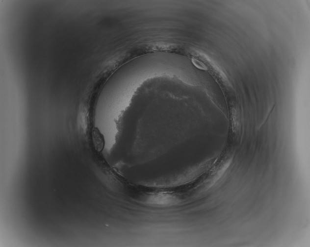 X0000102520451200808151537