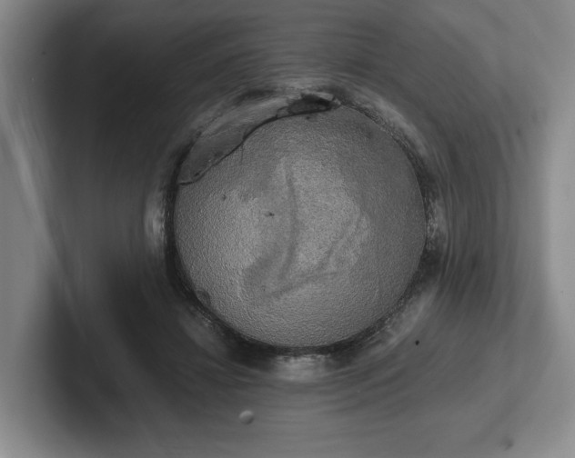 X0000102520452200808151537