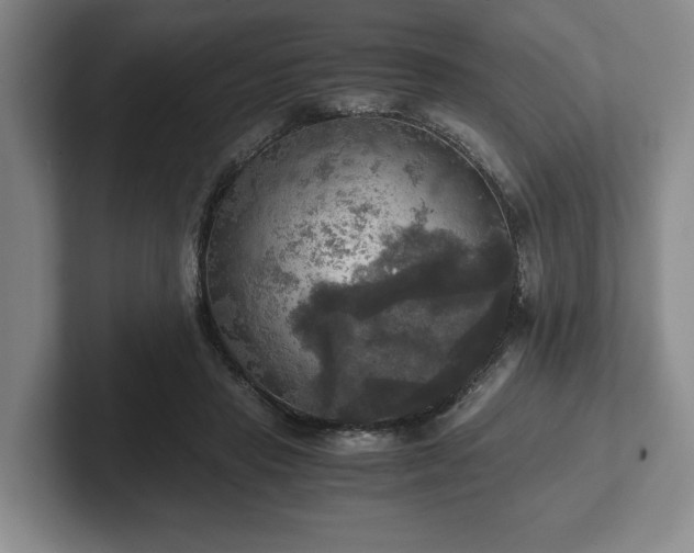 X0000102520453200808151537