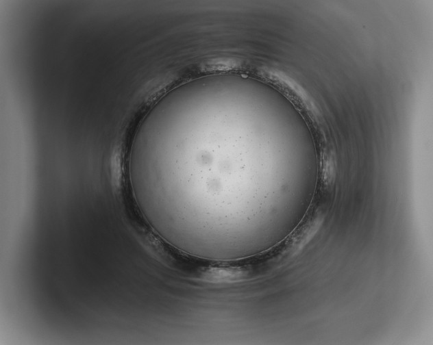 X0000102520455200808151537