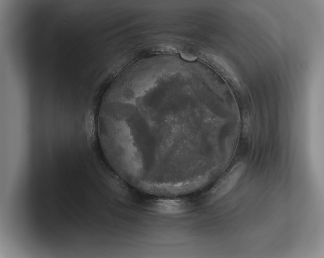 X0000102520457200808151537