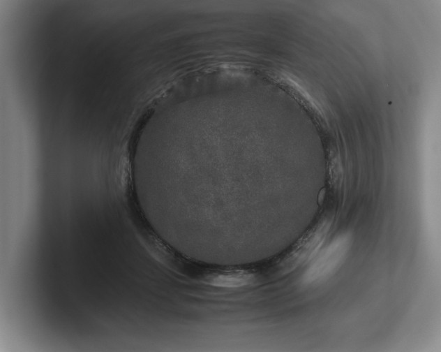 X0000102520459200808151537