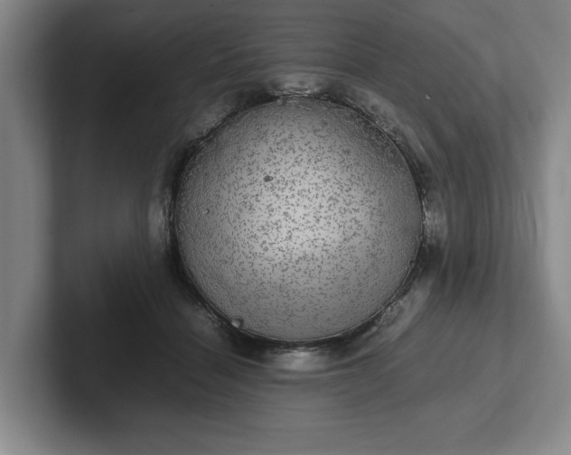 X0000102520460200808151537