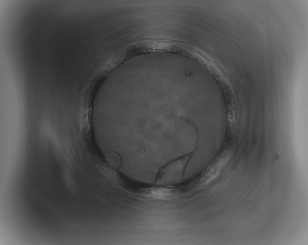 X0000102520462200808151537