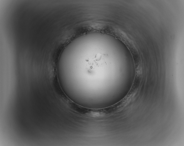 X0000102520464200808151537