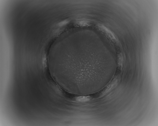 X0000102520465200808151537