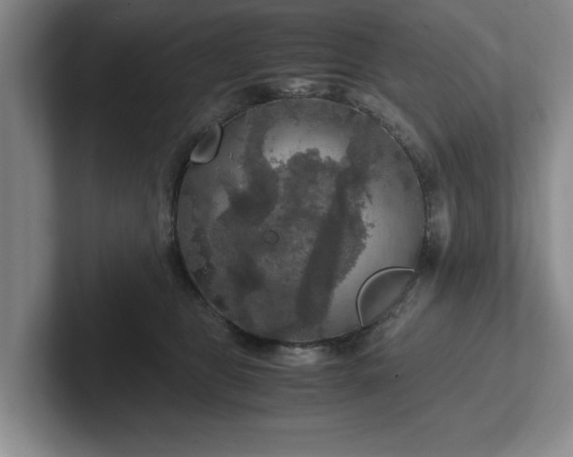 X0000102520469200808151537