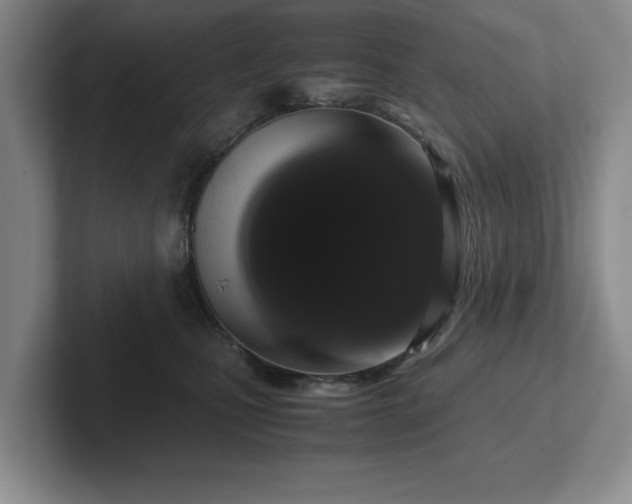 X0000102520471200808151537